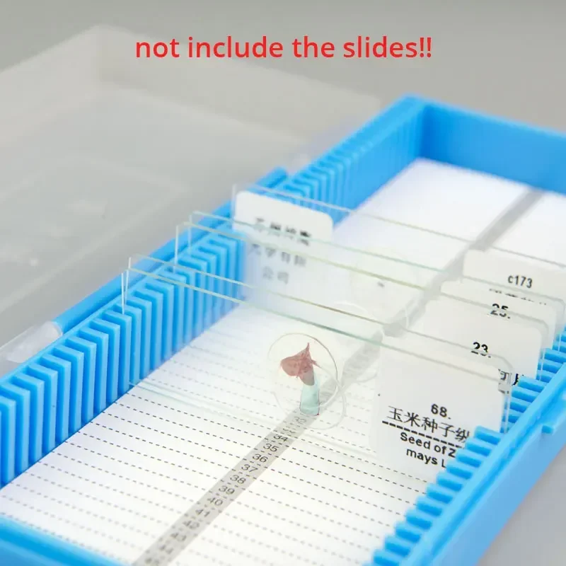 Plastikowe pudełko na szkiełka – Pathology Slide Storage recenzja i cena