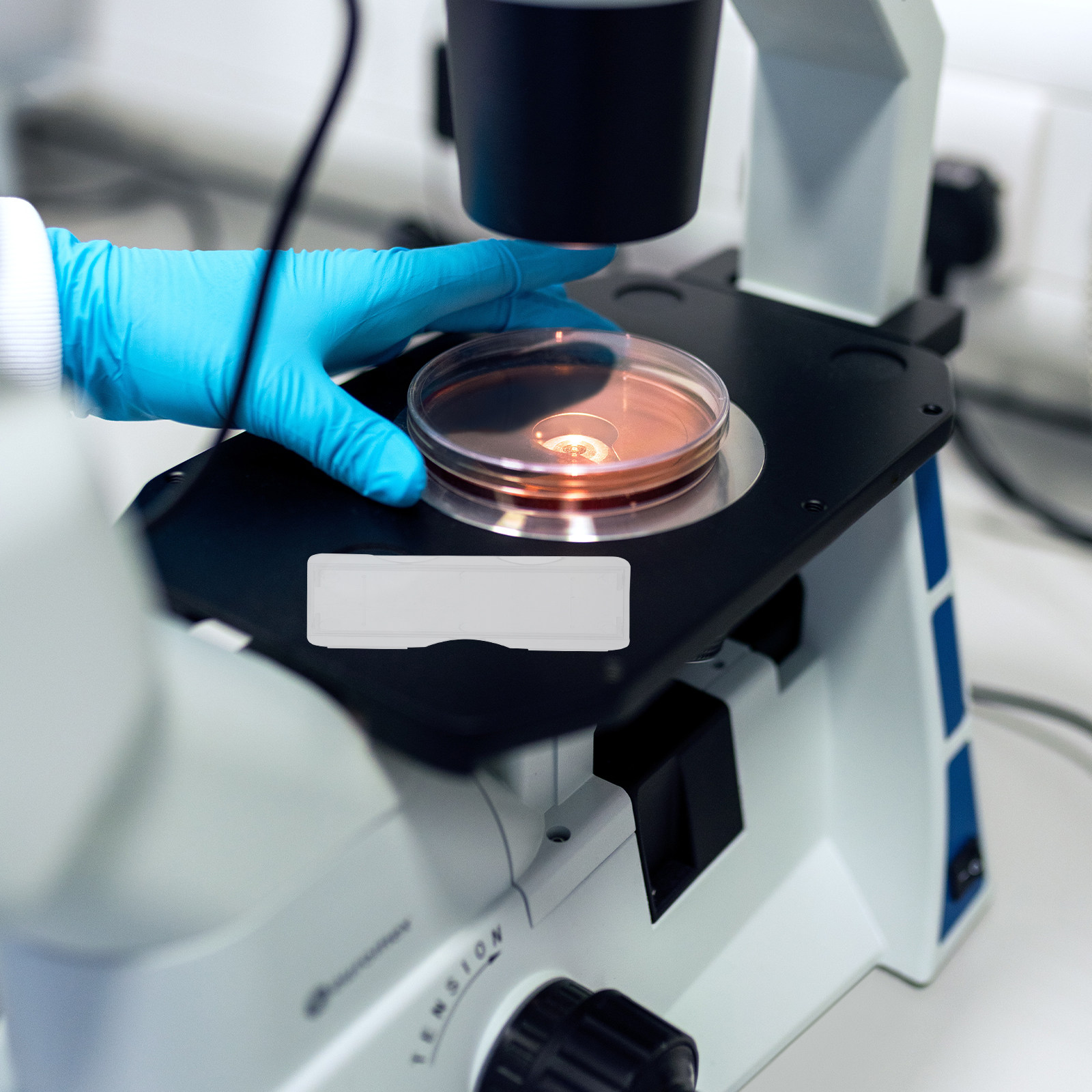 100 szt. plastikowych pudełek  – Pathology Slide Storage recenzja i cena